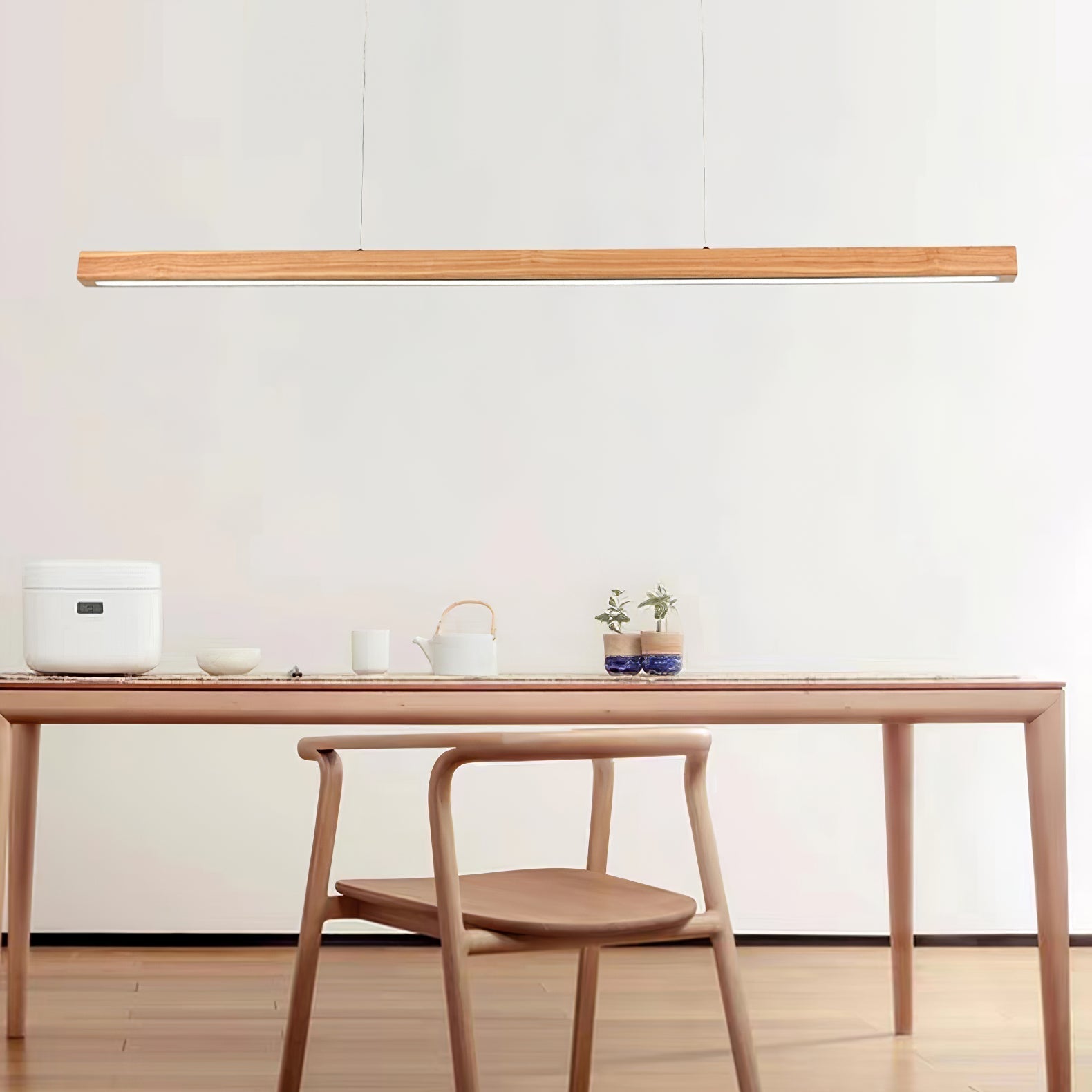 Linear Horizon Pendant Light - Lamp Outdoor
