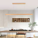 Linear Horizon Pendant Light - Lamp Outdoor