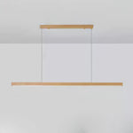 Linear Horizon Pendant Light - Lamp Outdoor