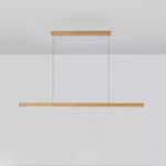 Linear Horizon Pendant Light - Lamp Outdoor