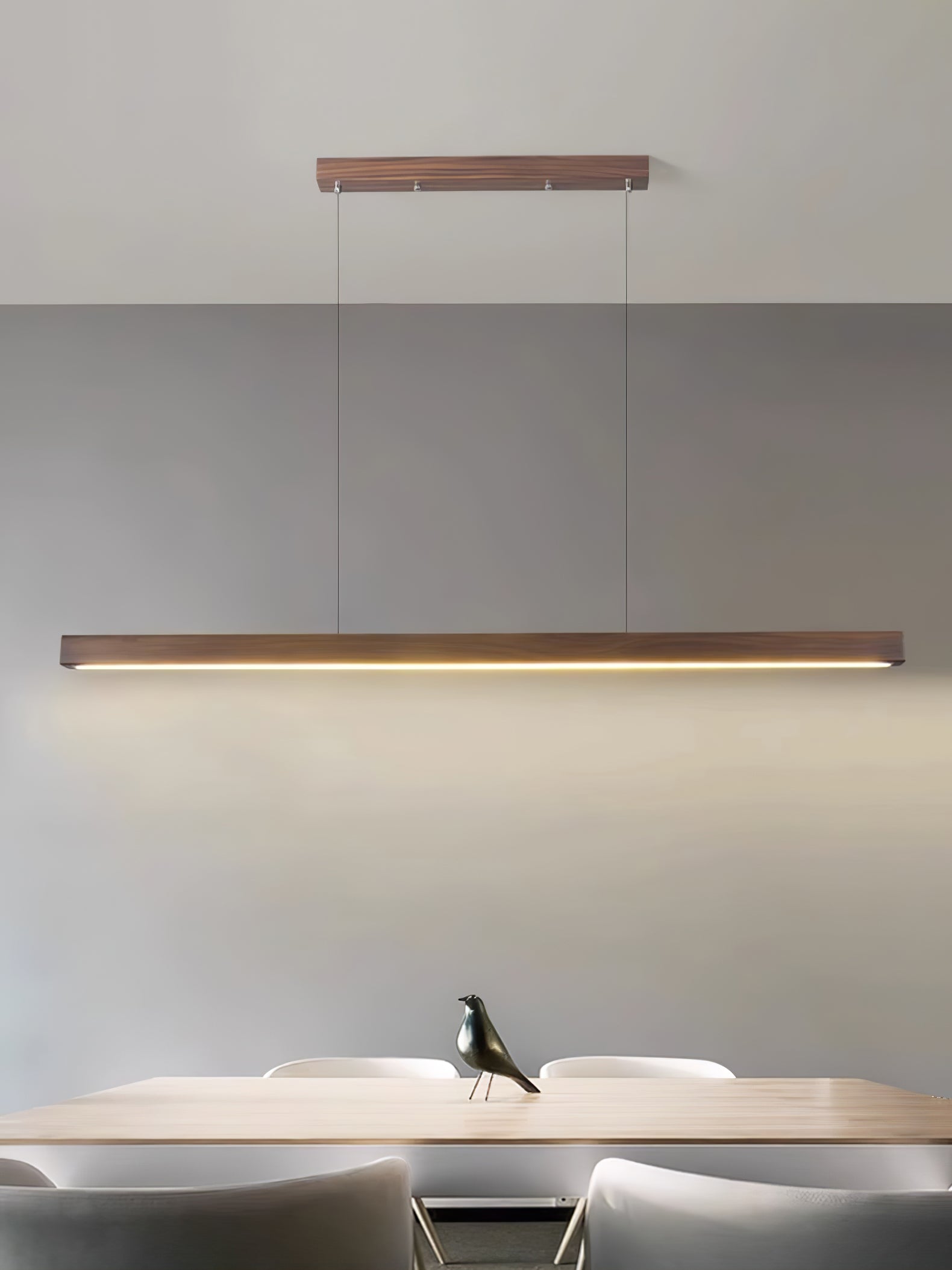 Linear Horizon Pendant Light - Lamp Outdoor