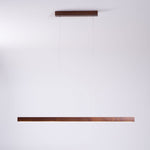 Linear Horizon Pendant Light - Lamp Outdoor