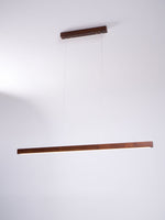 Linear Horizon Pendant Light - Lamp Outdoor
