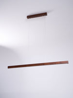 Linear Horizon Pendant Light - Lamp Outdoor