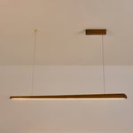 Linearity Pendant Lamp - Lamp Outdoor