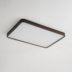 Lira Rectangular Ceiling Light - Lamp Outdoor