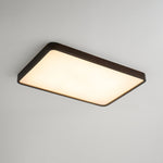 Lira Rectangular Ceiling Light - Lamp Outdoor