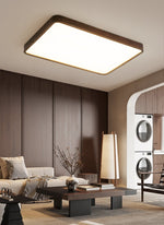 Lira Rectangular Ceiling Light - Lamp Outdoor