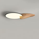 Lone Peak Ceiling Lamp - Lamp Outdoor