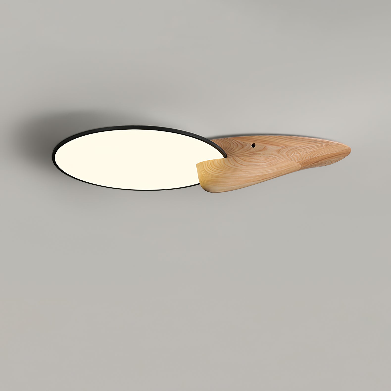 Lone Peak Ceiling Lamp - Lamp Outdoor