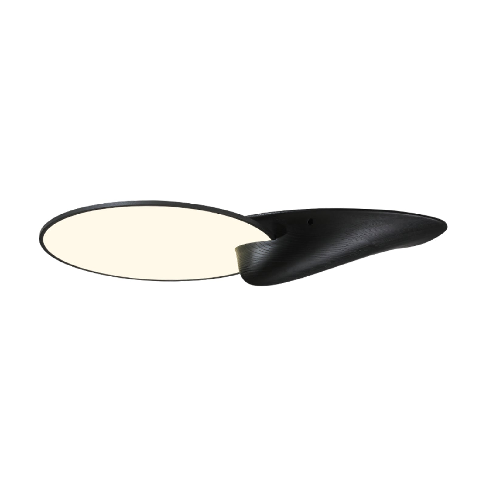 Lone Peak Ceiling Lamp - Lamp Outdoor