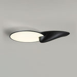 Lone Peak Ceiling Lamp - Lamp Outdoor