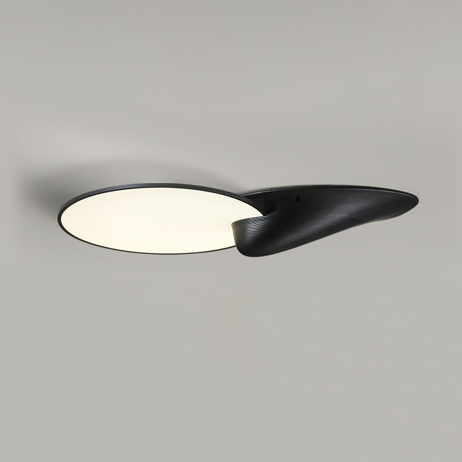 Lone Peak Ceiling Lamp - Lamp Outdoor