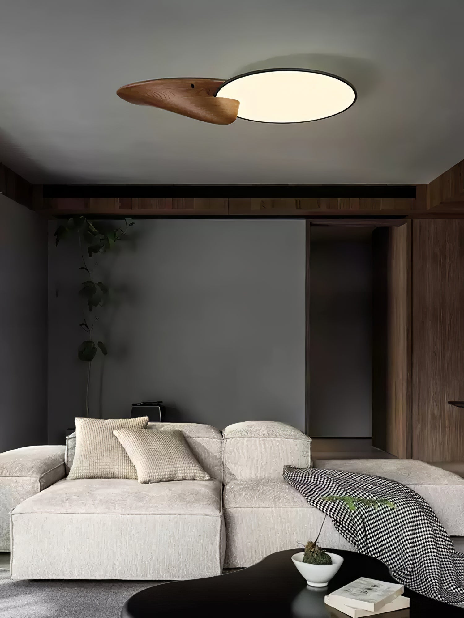 Lone Peak Ceiling Lamp - Lamp Outdoor