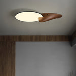 Lone Peak Ceiling Lamp - Lamp Outdoor