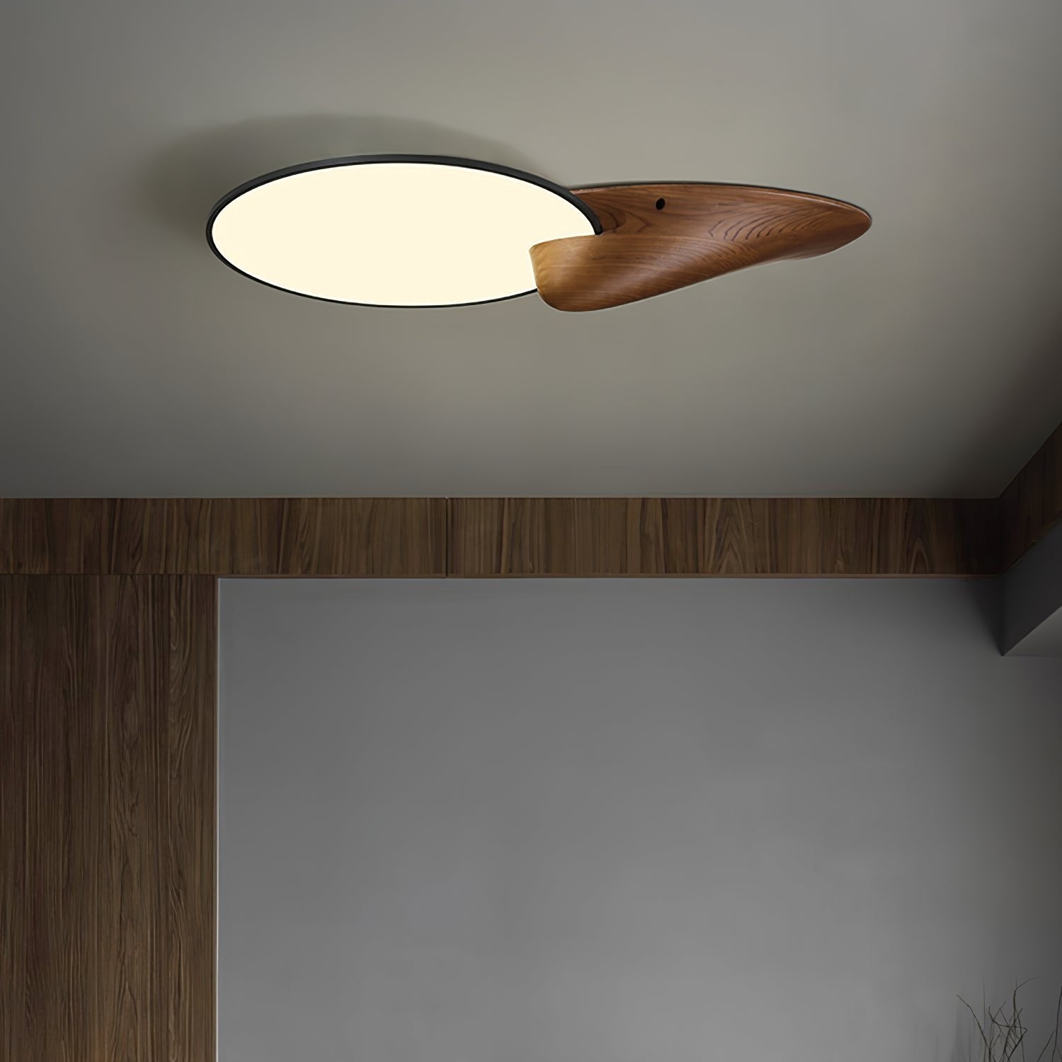 Lone Peak Ceiling Lamp - Lamp Outdoor