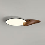 Lone Peak Ceiling Lamp - Lamp Outdoor