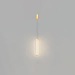 Long Oval LED Pendant Lamp - Lamp Outdoor