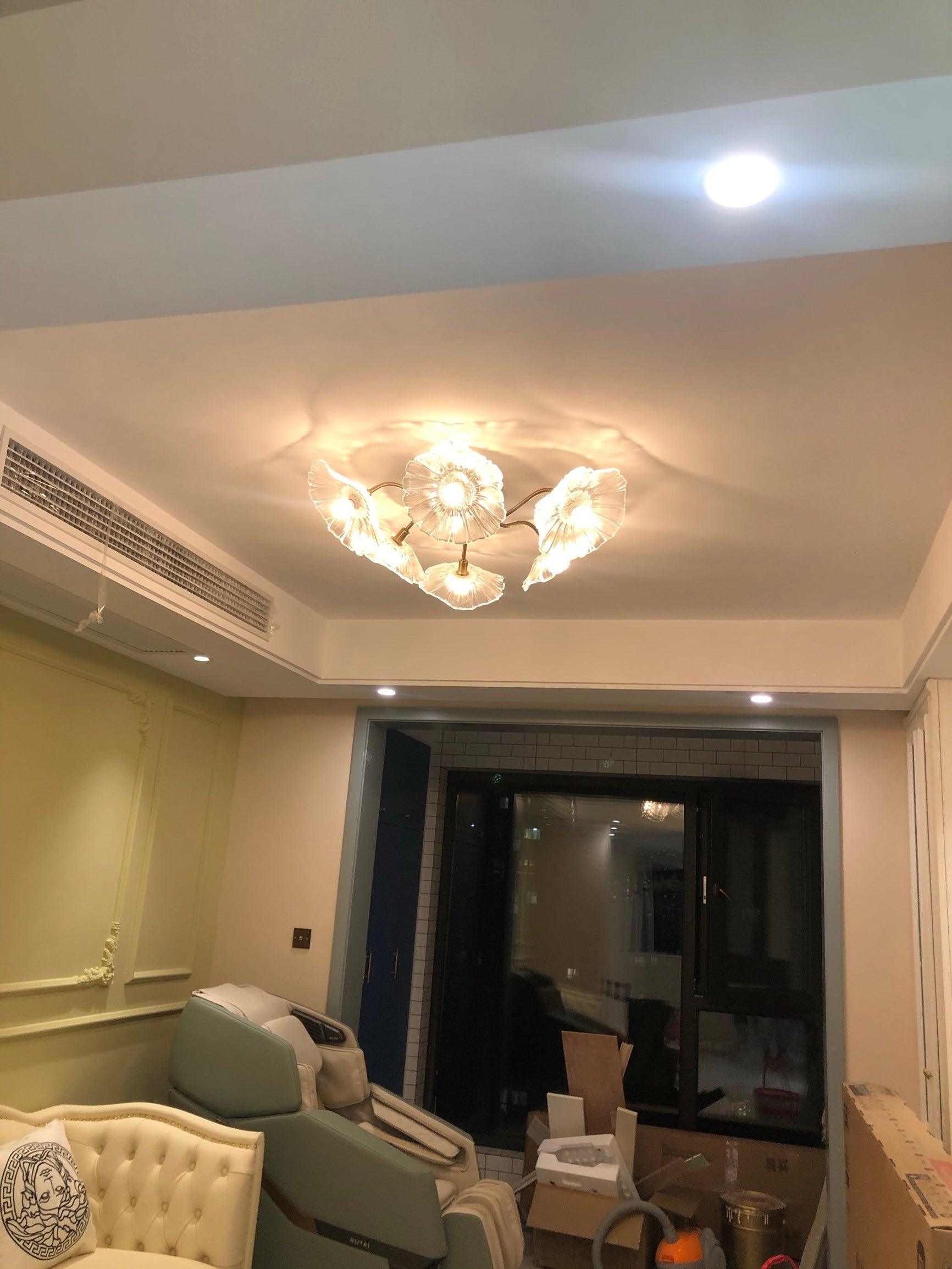 Lotus Leaf Glass Ceiling Lamp - Lamp Outdoor