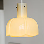 Lumina Petal Glass Pendant Light - Lamp Outdoor