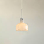 Lumina Petal Glass Pendant Light - Lamp Outdoor