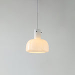 Lumina Petal Glass Pendant Light - Lamp Outdoor