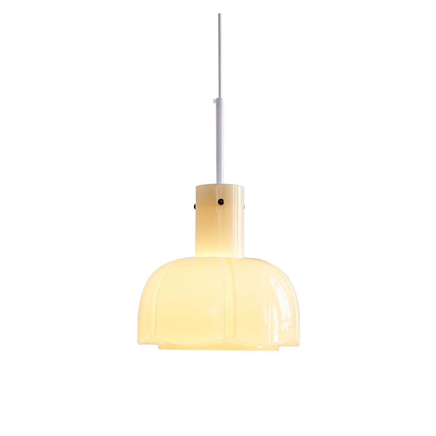Lumina Petal Glass Pendant Light - Lamp Outdoor