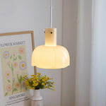 Lumina Petal Glass Pendant Light - Lamp Outdoor