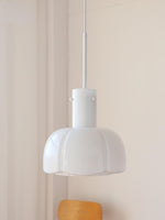 Lumina Petal Glass Pendant Light - Lamp Outdoor