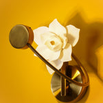 Lure Sconce - Lamp Outdoor