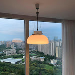 Mack Pendant Light - Lamp Outdoor