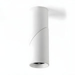 Maxwell Pivot Surface Downlight - Lamp Outdoor
