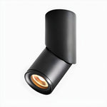 Maxwell Pivot Surface Downlight - Lamp Outdoor