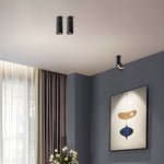 Maxwell Pivot Surface Downlight - Lamp Outdoor