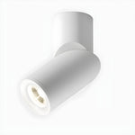 Maxwell Pivot Surface Downlight - Lamp Outdoor