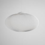 Metallic Meshwork Pendant Lamp - Lamp Outdoor