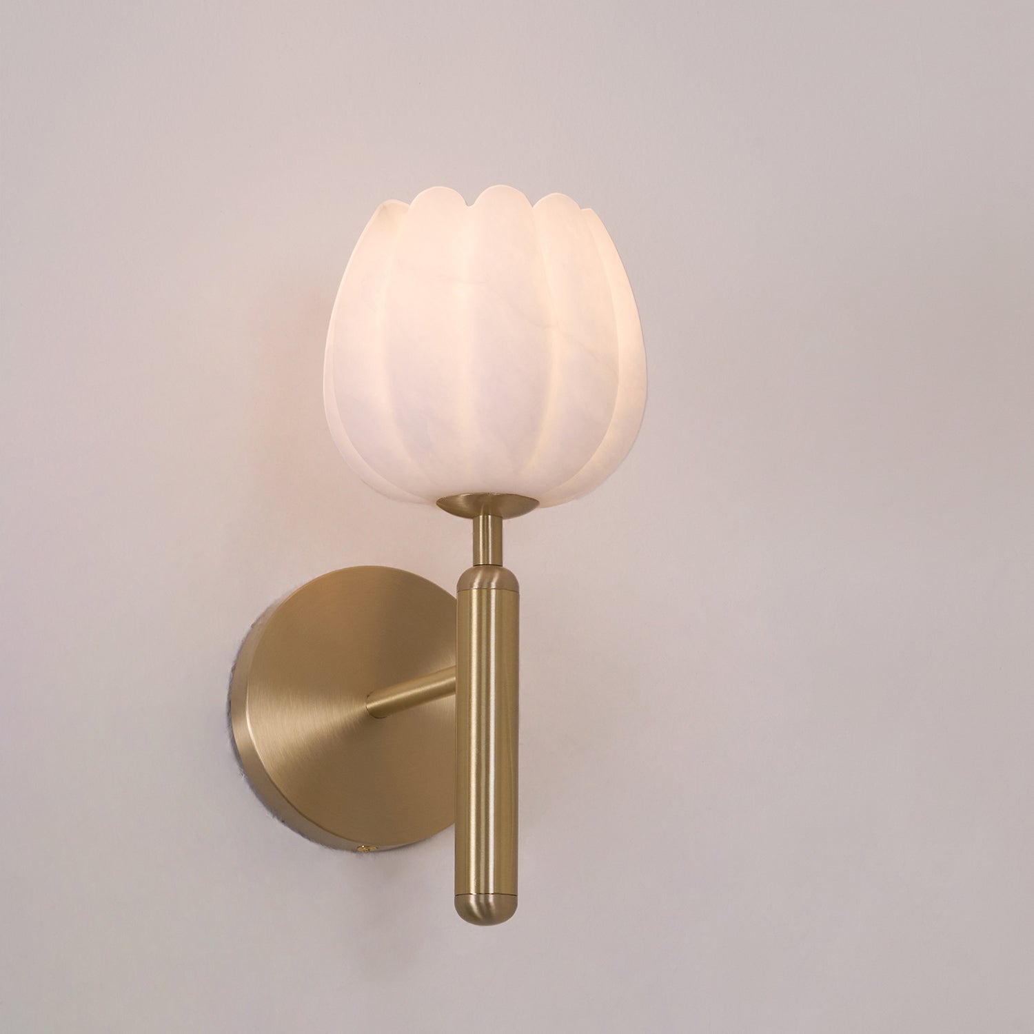 Eurzorion Floral Alabaster Brass Wall Light - Lamp Outdoor