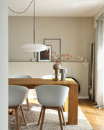 Model 2065 Pendant Lamp - Lamp Outdoor