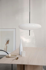 Model 2065 Pendant Lamp - Lamp Outdoor