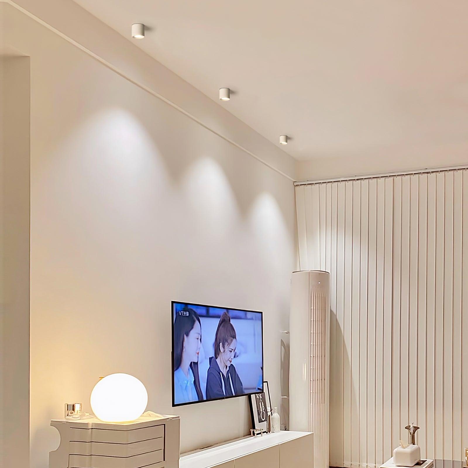 Modupoint Ceiling Light - Lamp Outdoor