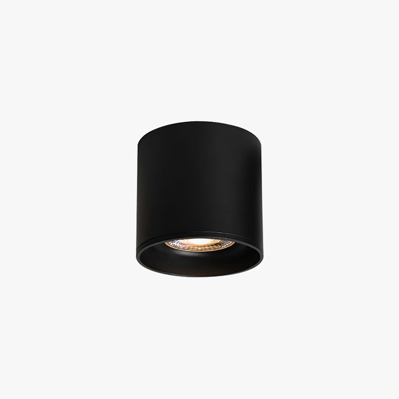 Modupoint Ceiling Light - Lamp Outdoor