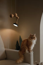 Drovia Rustic Wooden Pendant Light - Lamp Outdoor