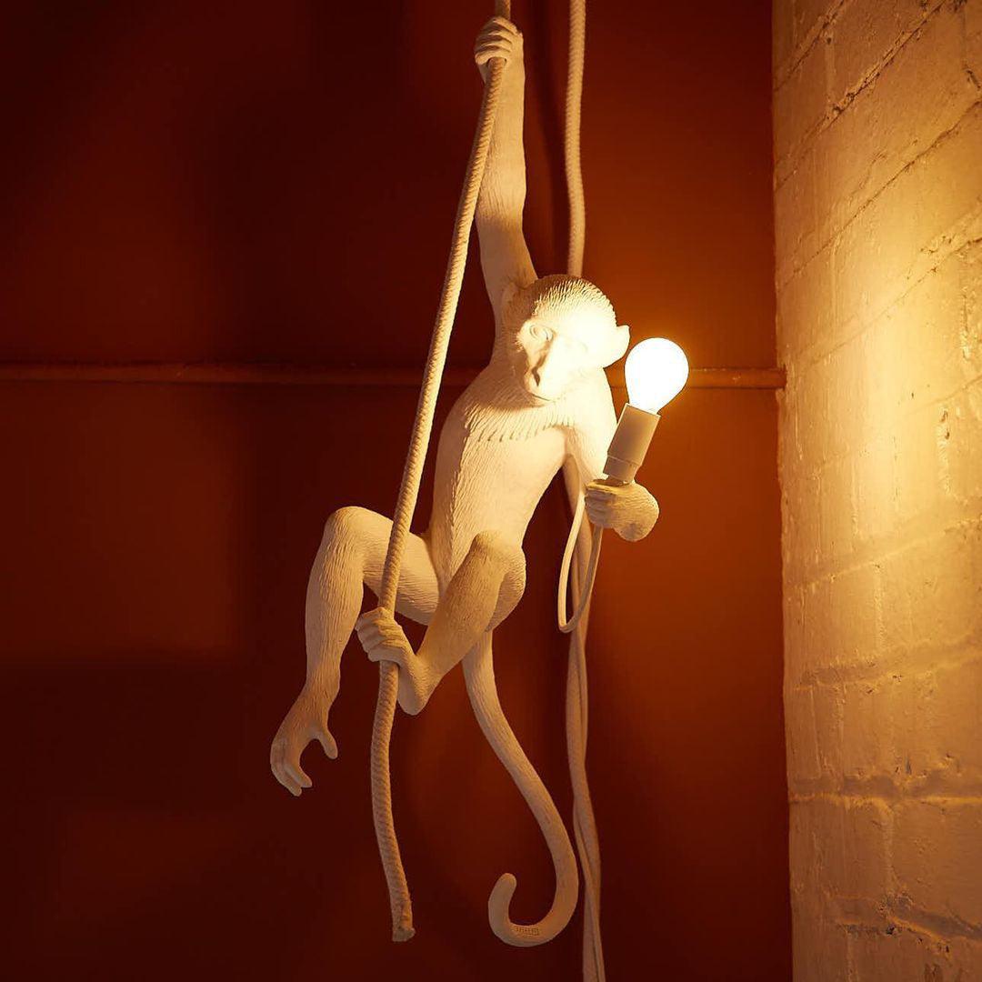 Monkey Pendant Lamp - Lamp Outdoor