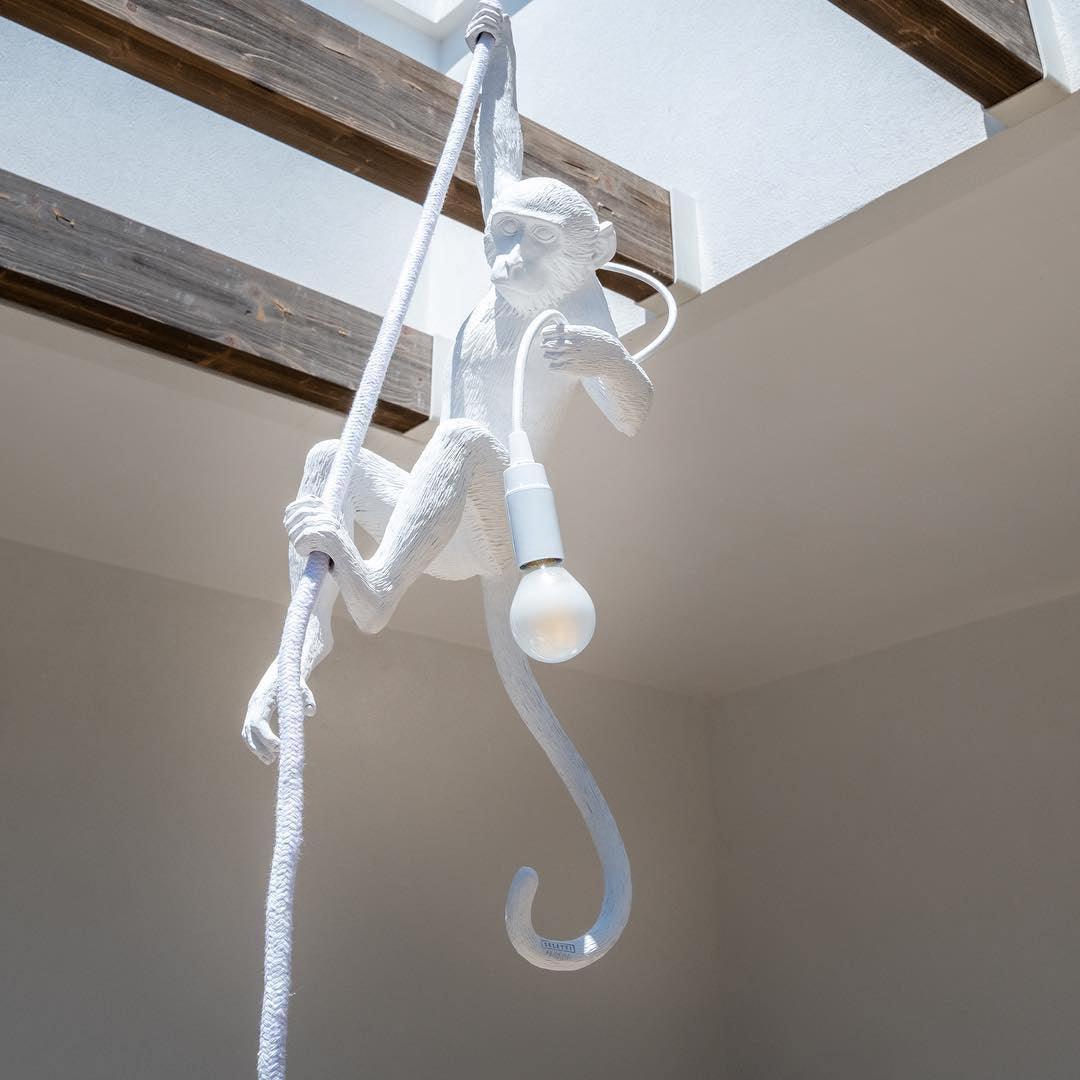 Monkey Pendant Lamp - Lamp Outdoor