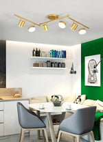 Track Light Ceiling Light - Lamp Outdoor