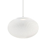 Metallic Meshwork Pendant Lamp - Lamp Outdoor