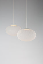 Metallic Meshwork Pendant Lamp - Lamp Outdoor