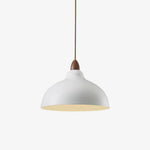 Silas Minimalist Metal Pendant Lamp - Lamp Outdoor
