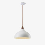 Silas Minimalist Metal Pendant Lamp - Lamp Outdoor