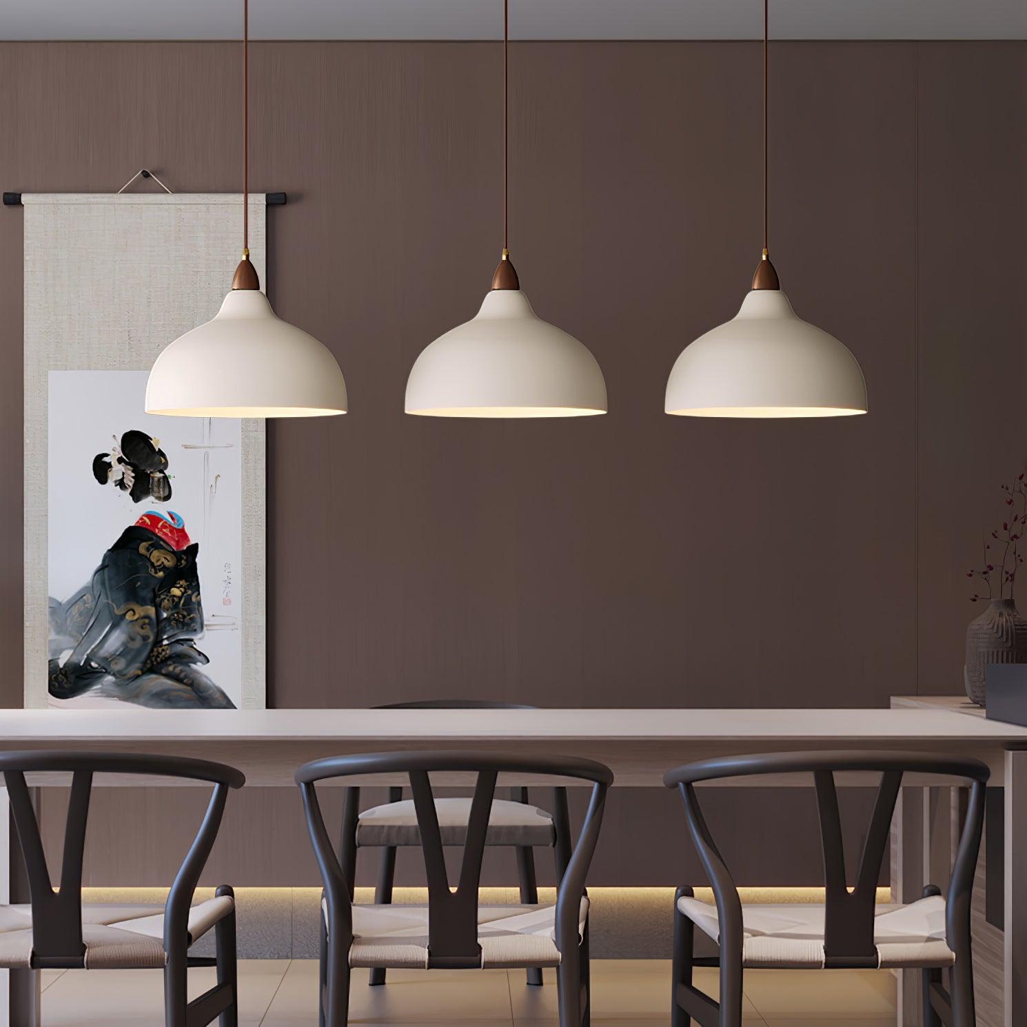Silas Minimalist Metal Pendant Lamp - Lamp Outdoor